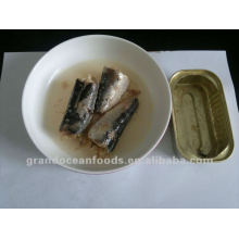 Dosen Sardine in Sole